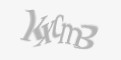 Защитный код